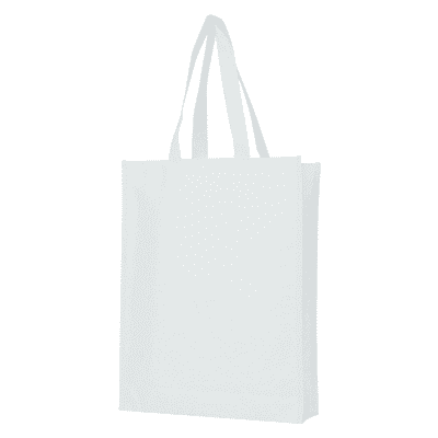 a4 non woven reusable bag