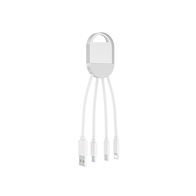 GTT1004 Acrylic 3 in 1 Fast Charge Cable (LED logo) 1 Giftsdepot 3 in 1 Fast Charge Cable view main