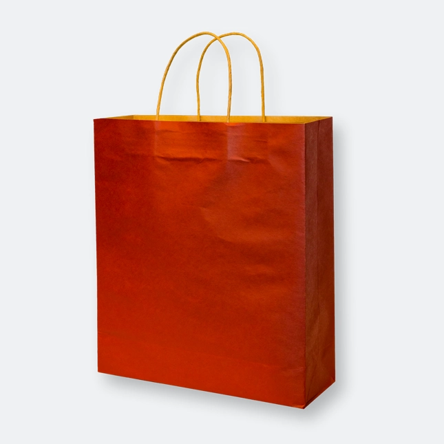 craft paper bag i with twisted handles in bold color