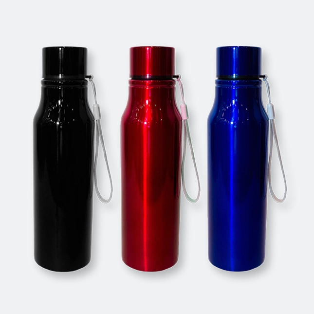 GMG2014 Fizzlo Stainless Steel Bottle (750ml)