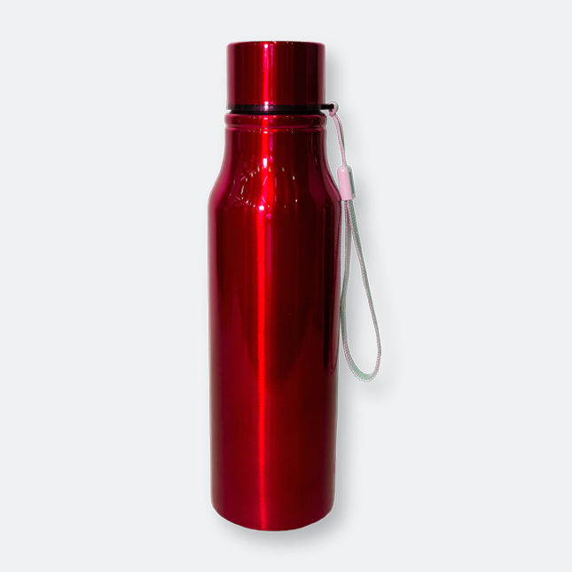 GMG2014 Fizzlo Stainless Steel Bottle (750ml)