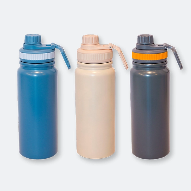 GMG2047 Blimsy Stainless Steel Bottle (600ml)