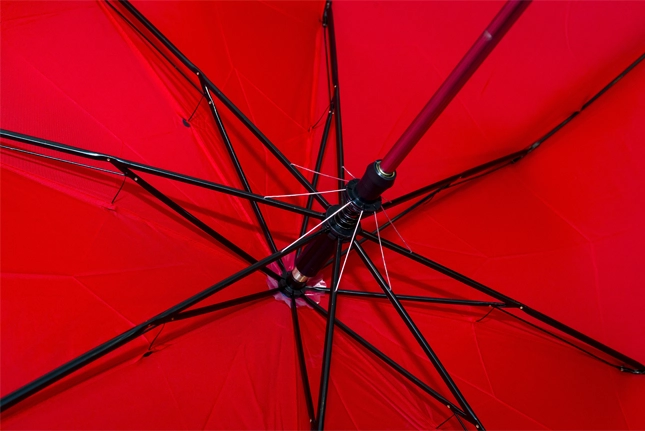 GMG6011 Frank Foldable Auto Umbrella 28"