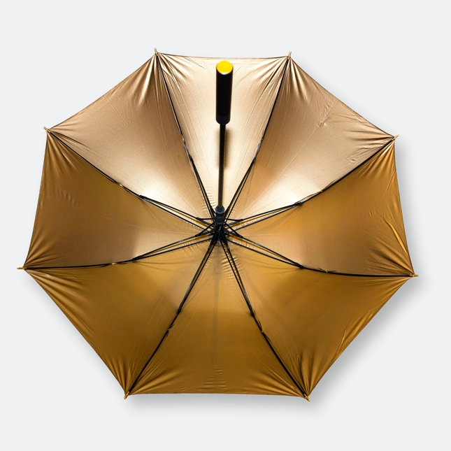 GMG6017 Wubzy Golden Black umbrella 27"