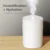 GTT4087_Golet_Humififier_8 Gtt4087 golet white desk humidifier (220ml)