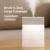 GTT4088_Lugra_Humififier_3 Gtt4088 lugra humidifier with white night light (280ml)