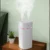 GTT4091_Flylo_Humififier_1 Gtt4091 flylo dual spray head humidifier (600ml)