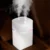 GTT4091_Flylo_Humififier_11 Gtt4091 flylo dual spray head humidifier (600ml)