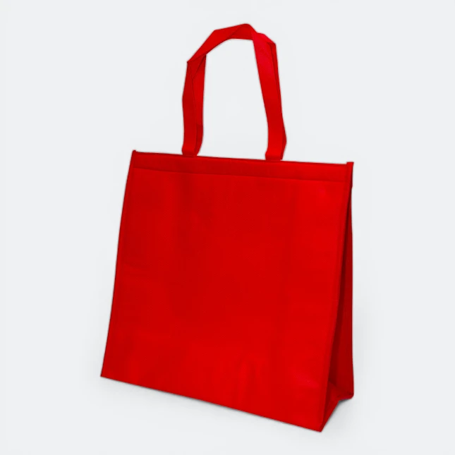 GMG5091 Non Woven Cooler Bag (big)