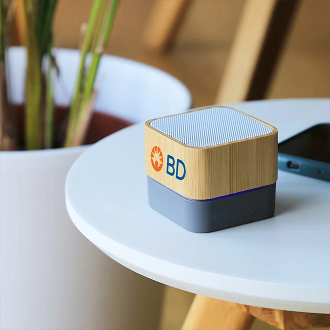 GVG3978_Bluetooth_Bamboo_Speaker_v6 GVG3978 Bluetooth Bamboo Speaker