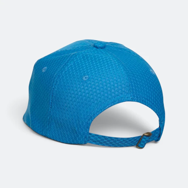 Cp13 polyester baseball cap two-tone back view back view