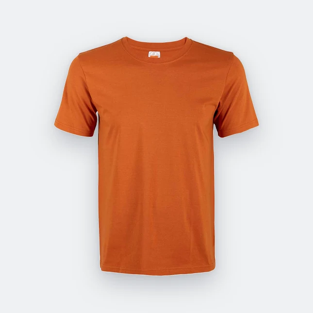 Ct51 comfy cotton short sleeve basic t-shirt autumn colour view