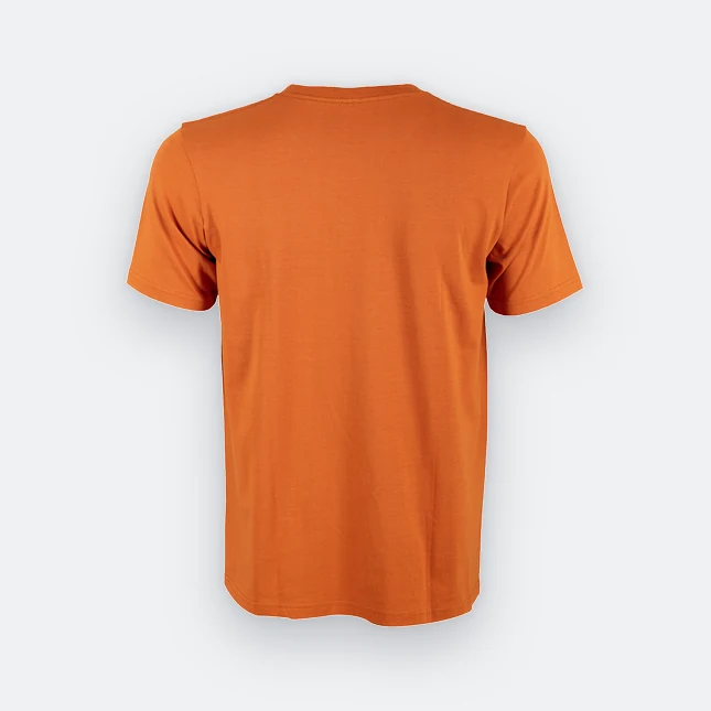 Ct51 comfy cotton short sleeve basic t-shirt autumn back view