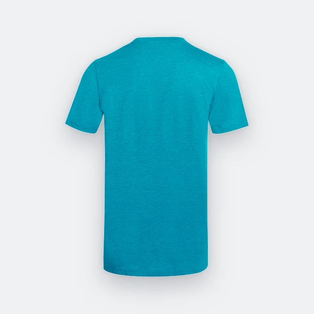 Ct51 comfy cotton short sleeve basic t-shirt deep lake melange back view