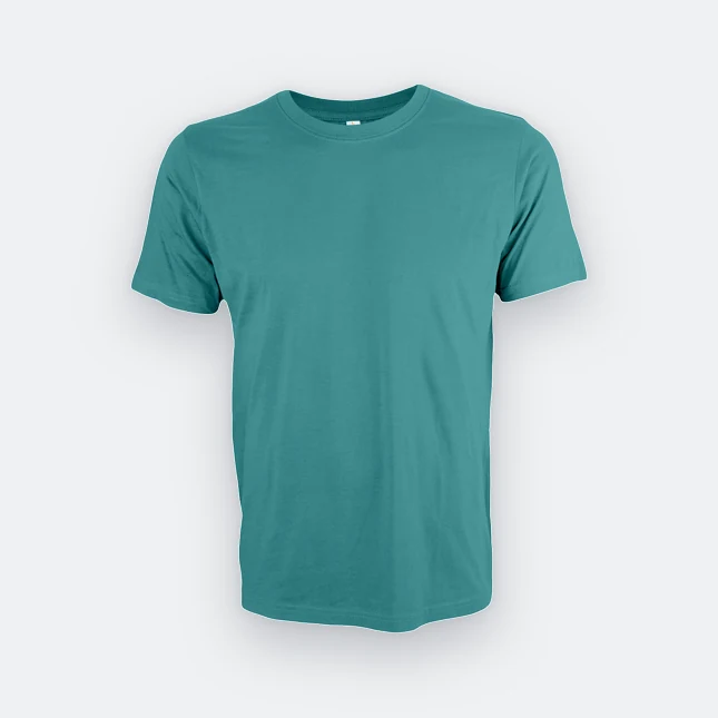 Ct51 comfy cotton short sleeve basic t-shirt teal colour view
