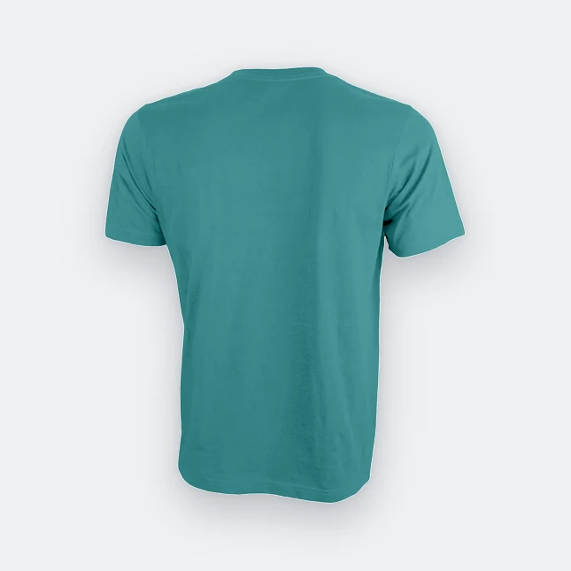 Ct51 comfy cotton short sleeve basic t-shirt teal back view