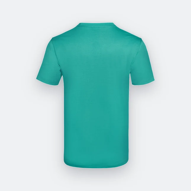 Ct60 superior cotton short sleeve basic t-shirt emerald back view