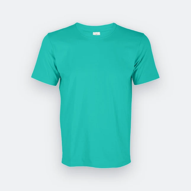 Ct71 superb cotton short sleeve basic t-shirt emerald colour view