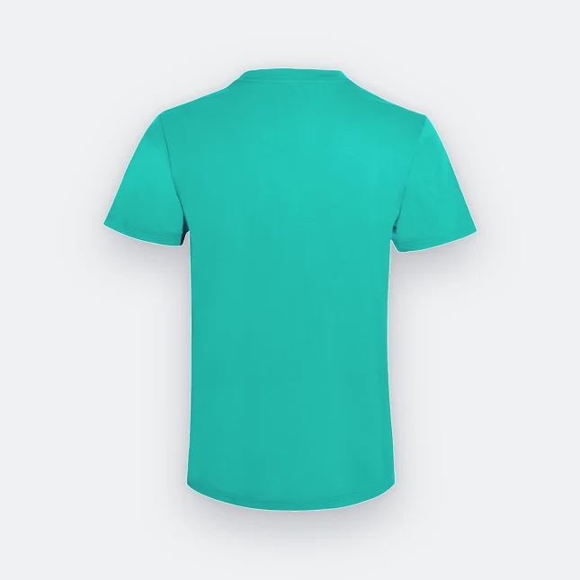 Ct71 superb cotton short sleeve basic t-shirt emerald back view