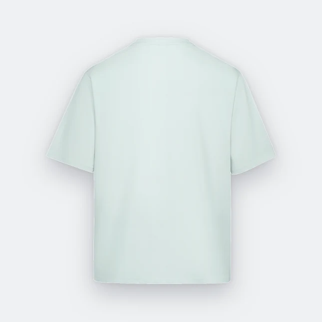 Ot02 oversized premium cotton basic t-shirt mint back view