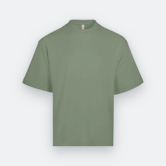Ot03 oversized premium cotton basic t-shirt sage green colour view