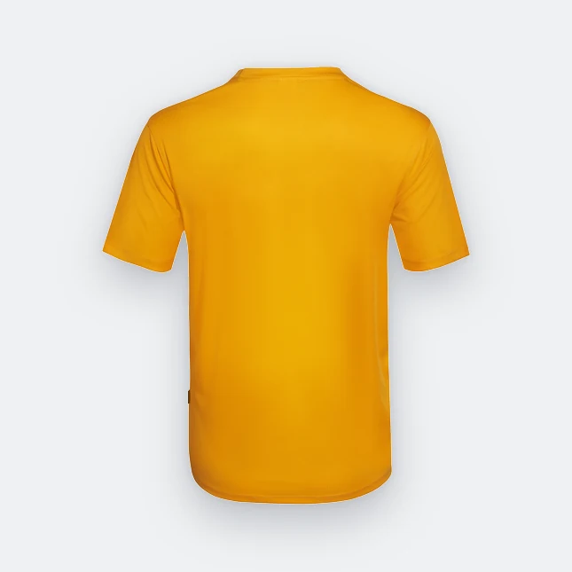 Qd66 quick dry antibac short sleeve basic t-shirt gold back view