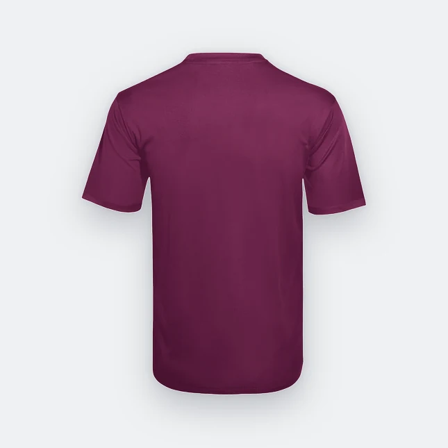 Qd66 quick dry antibac short sleeve basic t-shirt maroon back view