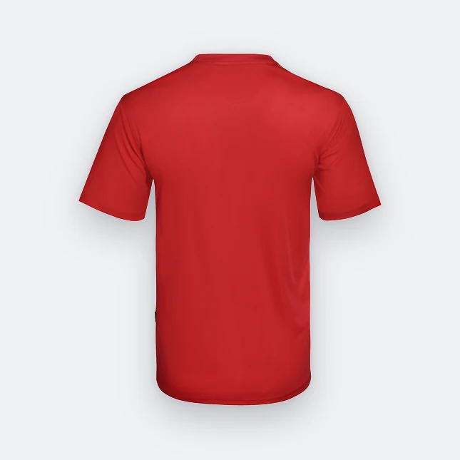 Qd66 quick dry antibac short sleeve basic t-shirt red back view