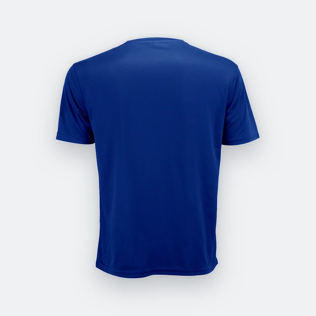 Qd72 quick dry mini eyelet short sleeve t-shirt royal back view