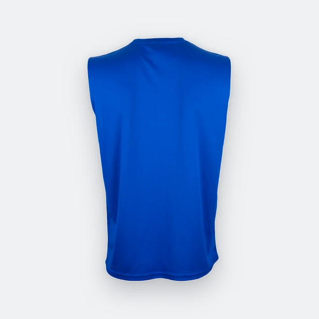 QD73 Quick Dry Tank Top Basic T-Shirt Royal Qd73 quick dry tank top basic t-shirt royal back view
