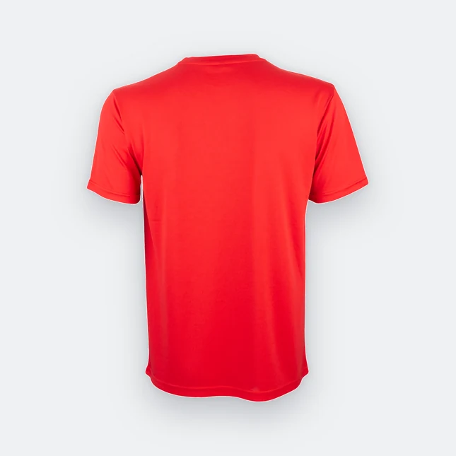 Qd75 quick dry sublimation t-shirt pinstripe brush red back view