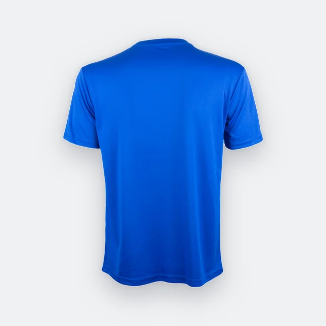 Qd75 quick dry sublimation t-shirt pinstripe brush royal back view