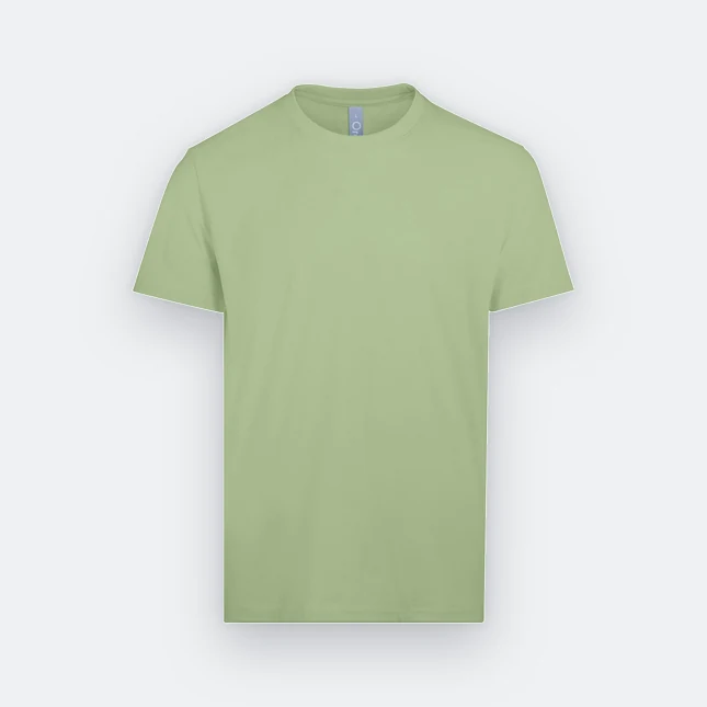 Rn71 combed cotton (210gsm) short sleeve basic t-shirt avocado colour view