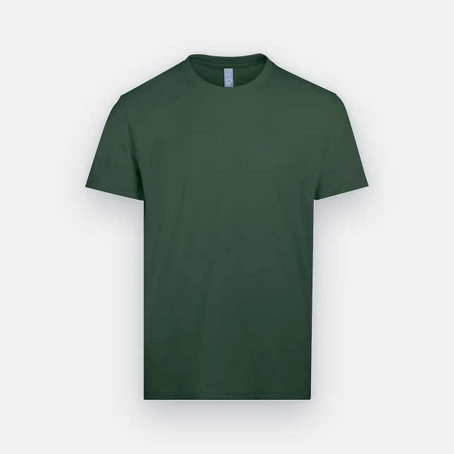 Rn71 combed cotton (210gsm) short sleeve basic t-shirt ivy green colour view