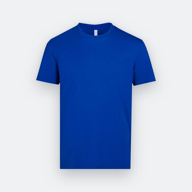 Rn71 combed cotton (210gsm) short sleeve basic t-shirt royal colour view