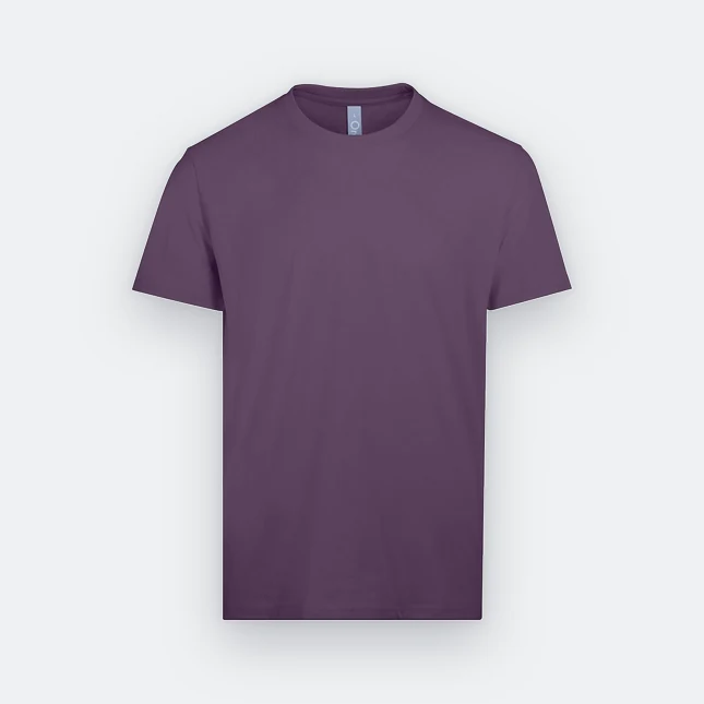 Rn71 combed cotton (210gsm) short sleeve basic t-shirt ultra violet colour view
