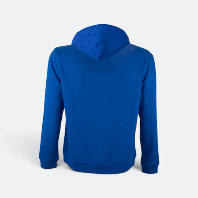 Ss10 full-zip hoodie royal back view