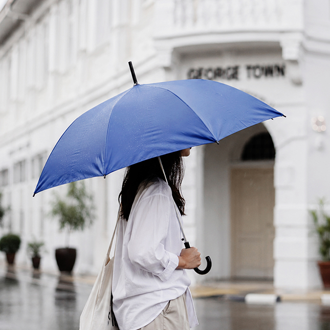Gih6205 dilly 23 inch j handle umbrella model view